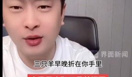 辛巴爆料食品是真的吗视频,揭秘视频背后的真实情况